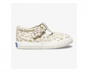 Keds Daphne Silver | 4685-XLSKO