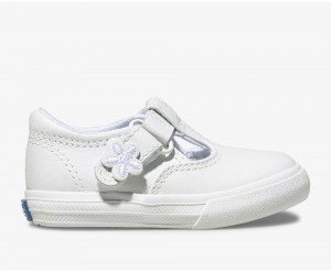 Keds Daphne T White | 2069-HUATQ