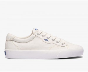 Keds x Organic Cotton Crew Kick 75 White | 0961-ZNMXS