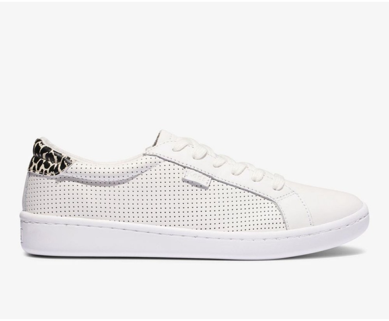 Keds Ace Leather White/Leopard White / Leopard | 3672-LESJZ