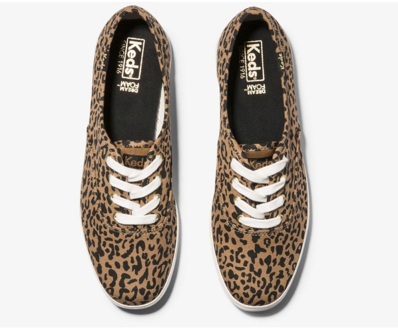 Keds Washable Champion Animal Brown | 7159-WPQUC