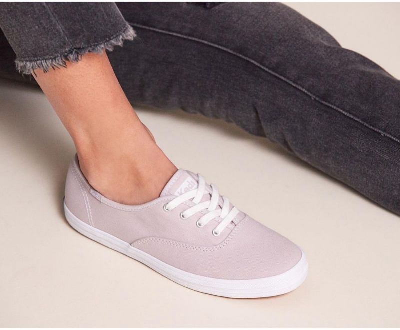 Keds x Organic Cotton Champion Purple | 1603-GVBPO