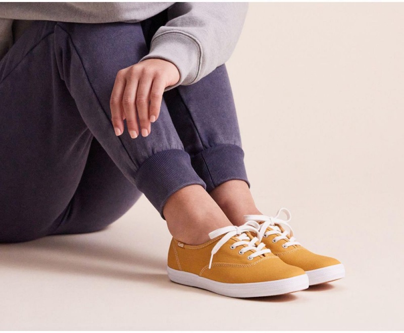 Keds x Organic Cotton Washable Champion Gold | 0164-NVAUF